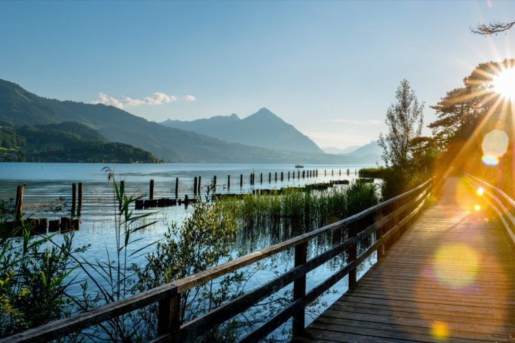 INTERLAKEN - Panorama Thunersee im Neuhaus.

Panorama picture of lake Thun at Neuhaus, Interlaken.

Copyright by Interlaken Tourismus Byline: swiss-image.ch/Mike Kaufmann